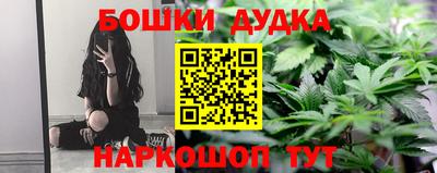 трава Кингисепп