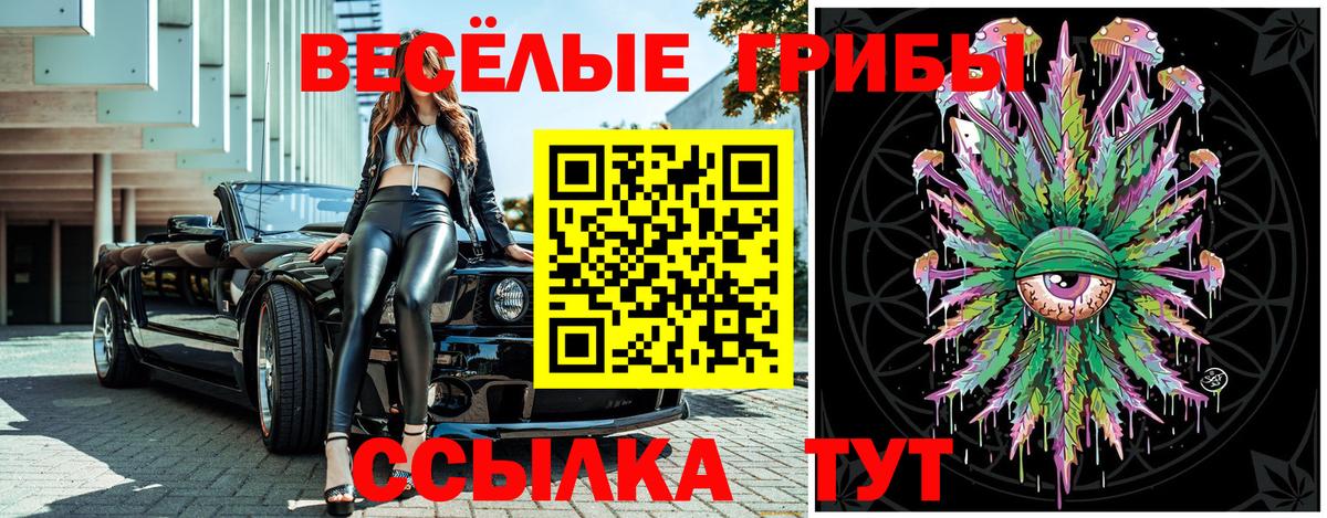 Кушва  Псилоцибиновые грибы MAGIC MUSHROOMS  Вход с VPN  Псилоцибиновые грибы GOLDEN TEACHER 