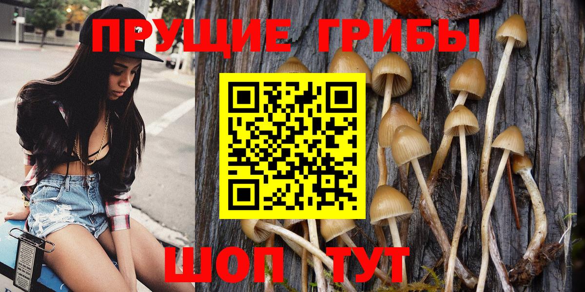 Галлюциногенные грибы MAGIC MUSHROOMS Кушва